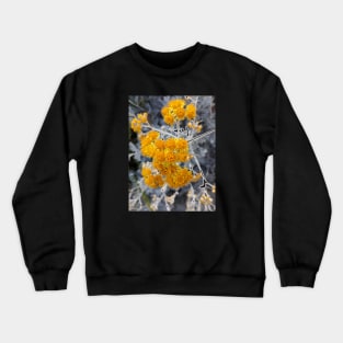 Yellow Unique Photography My Crewneck Sweatshirt